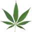 :z_weed: