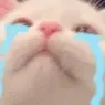 AAAAa AAAAa