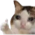 thik_ase