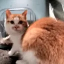 huh