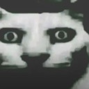 cat_horror_despair_stare Discord emoji