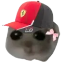 CLHamster CLHamster