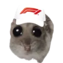 F1Hamster