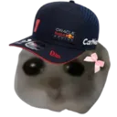 MVHamster