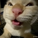 emoji_52 custom emote from 𝐌𝐨𝐨𝐧 𝐜𝐡𝐢𝐥𝐥 𝐜𝐥𝐮𝐛