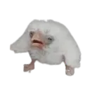 sad