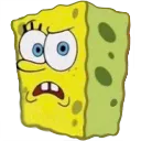 49566spongebobwtf