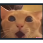 Cat_What Discord emoji
