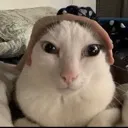jago_4