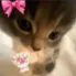 cute