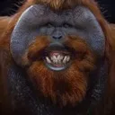 filthymonkeynamedtaylor