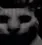 horror