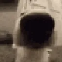 sniffdog