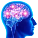 200IQ 200IQ