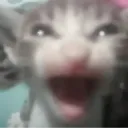 waah