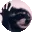 RacconJam