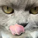 licky