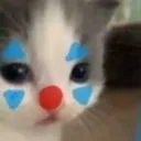 clowncat