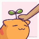 pats pats