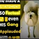 factualstatement