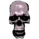 skull395 skull395