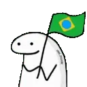Flork_BRA