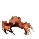 801212404548763689