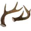 9e_deerAntlers