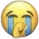laughcry