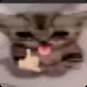 emoji_311
