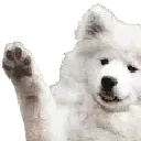 awaveboy