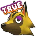 KyleTRUE