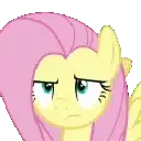 zmlp_fluttershymadz