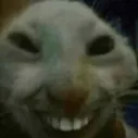 xdd