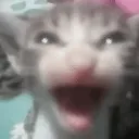 catu