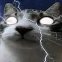 gatopdejo