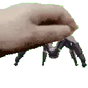 pet_leaper