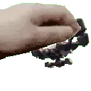 pet_rocketeer