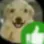 dog_21