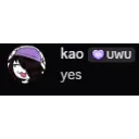 kao_yes