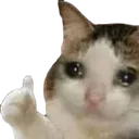 Okie_cat Okie_cat