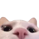 AmorLurk