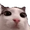 Plink