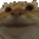 catyes