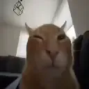Buh