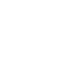 RaceWeek2 Discord emoji