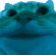 BlueNod