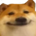 dogeface dogeface