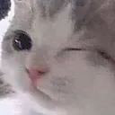 wink