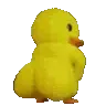 duckshaker duckshaker